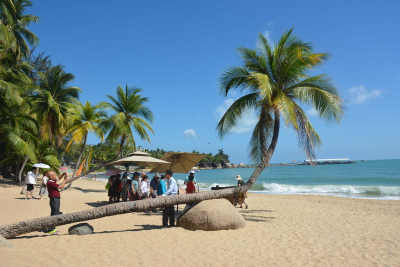 海南,热带天堂的绿色崛起之路
