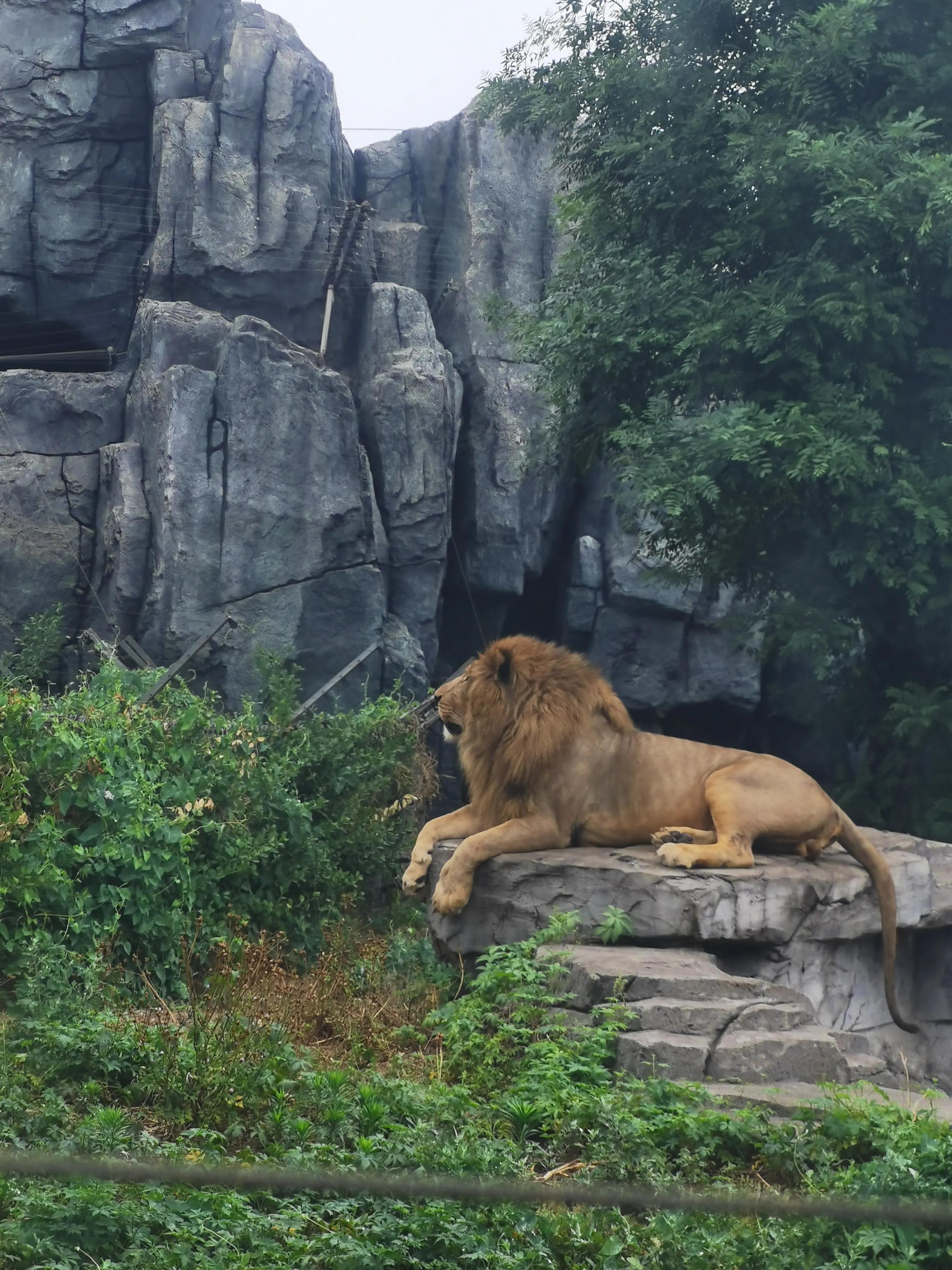 唐山历史变迁与现代发展研究